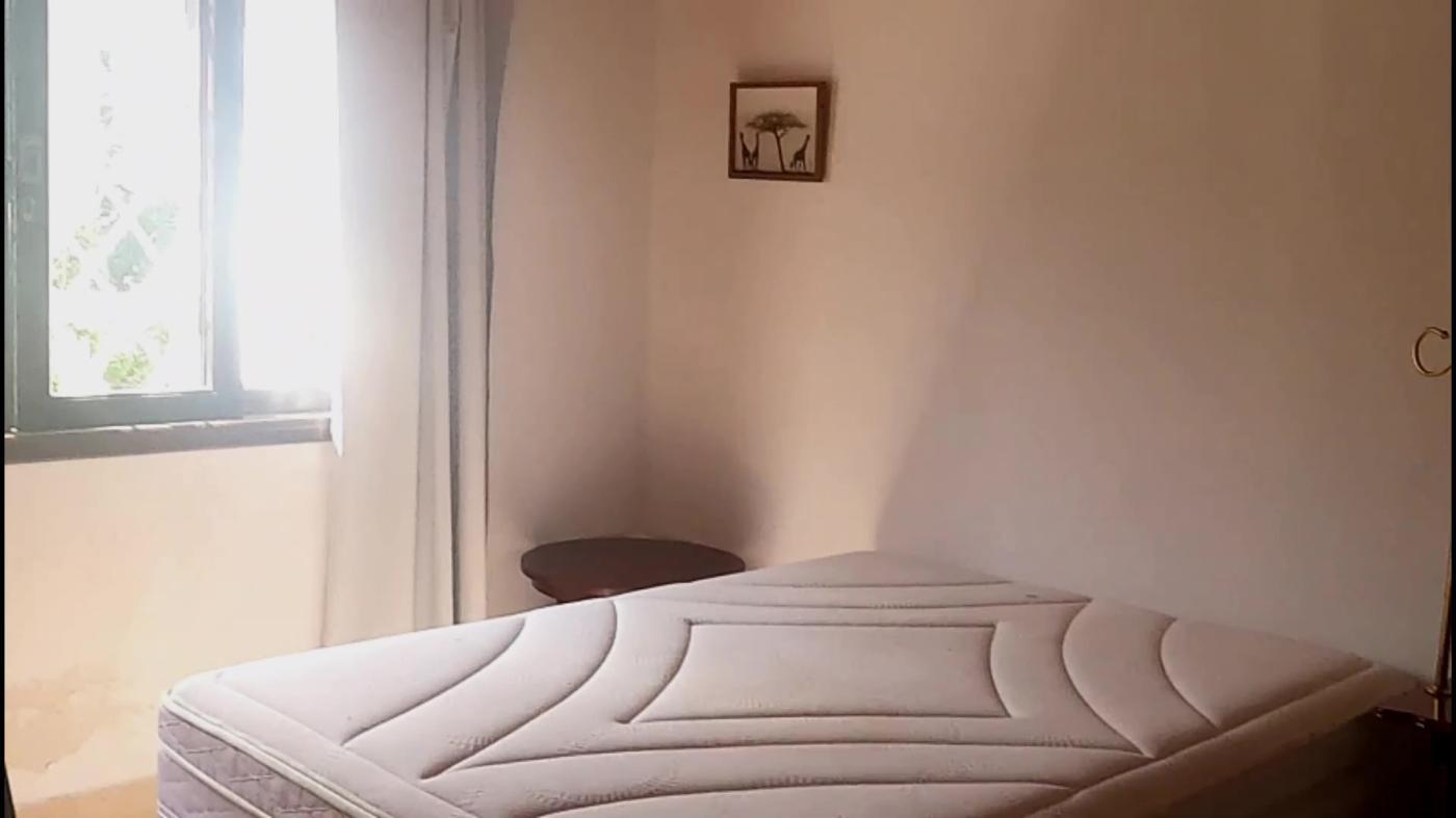 Chácara, 3 quartos, 4500 m² - Foto 23