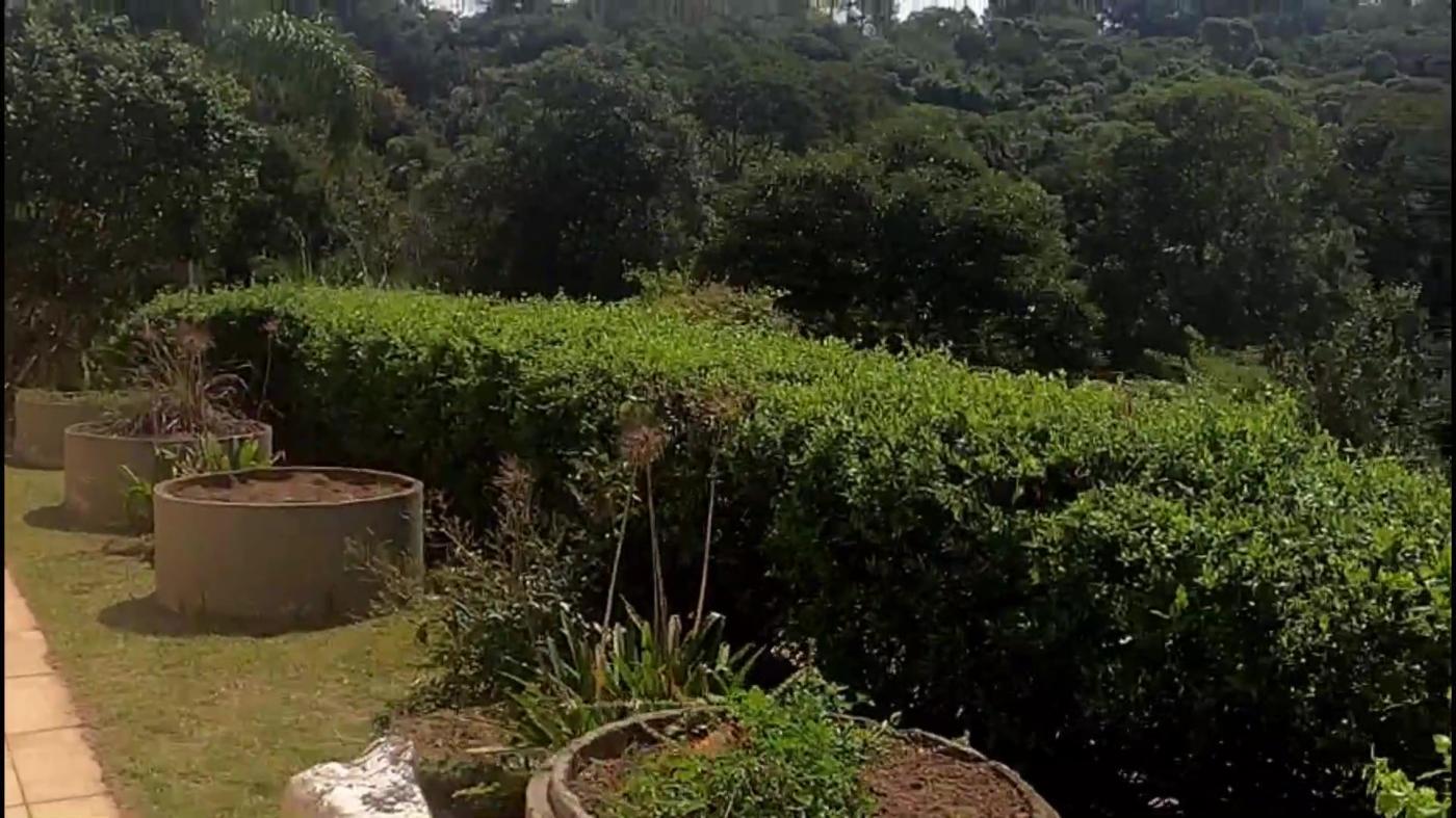 Chácara, 3 quartos, 4500 m² - Foto 33