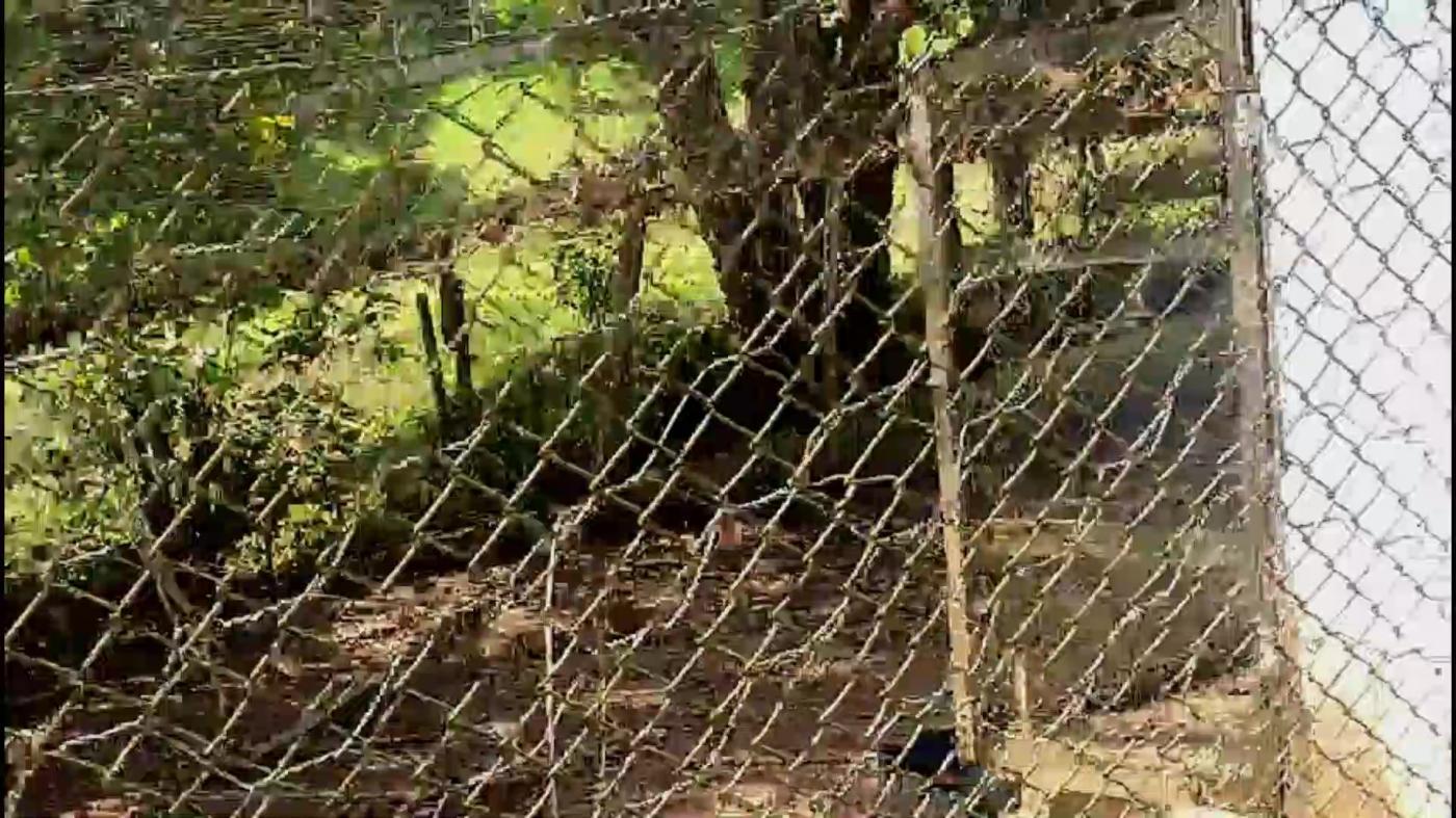 Chácara, 3 quartos, 4500 m² - Foto 39