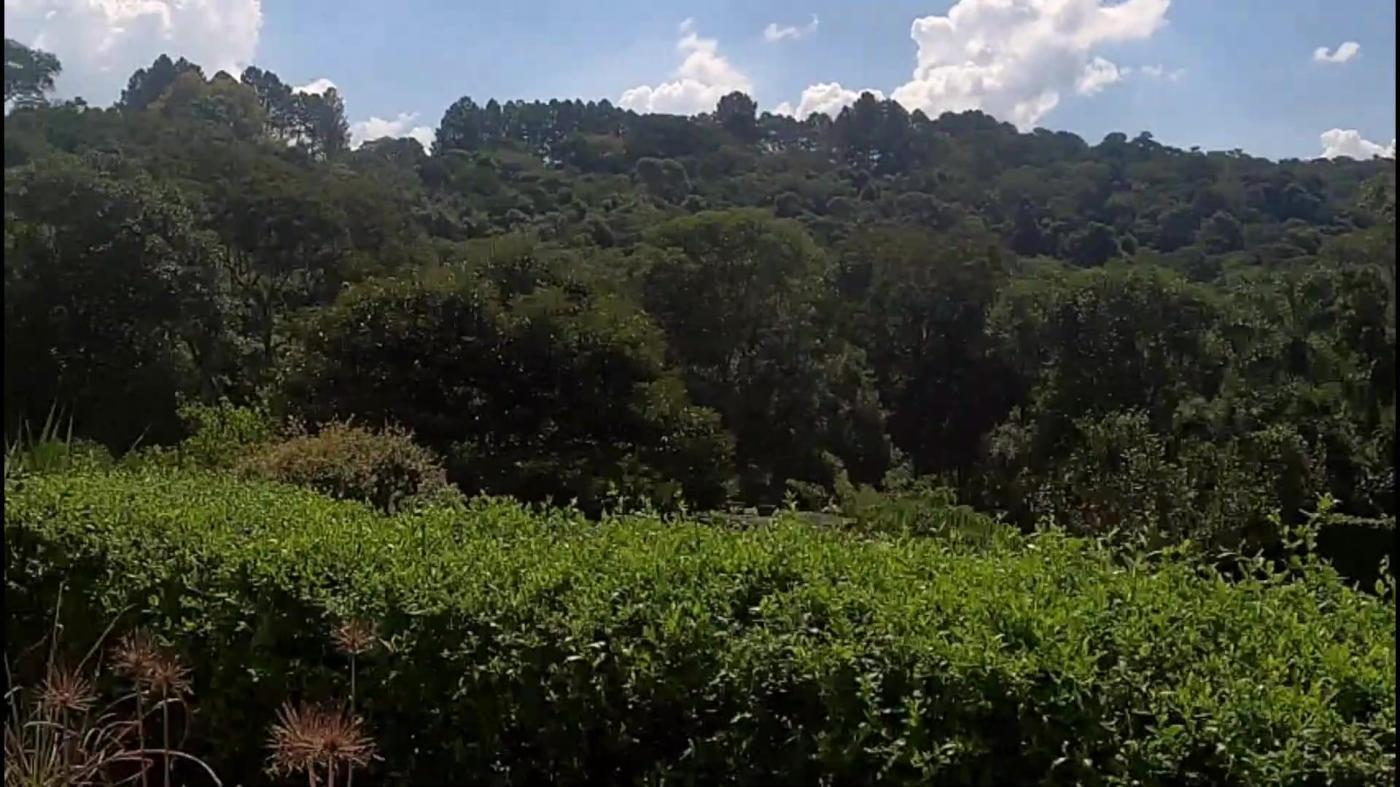 Chácara, 3 quartos, 4500 m² - Foto 16