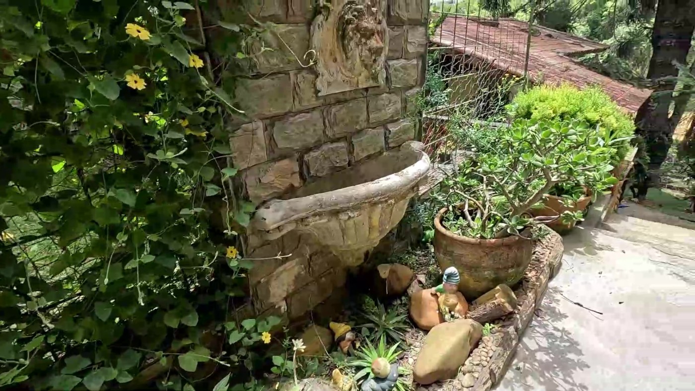 Chácara, 5 quartos, 4000 m² - Foto 31