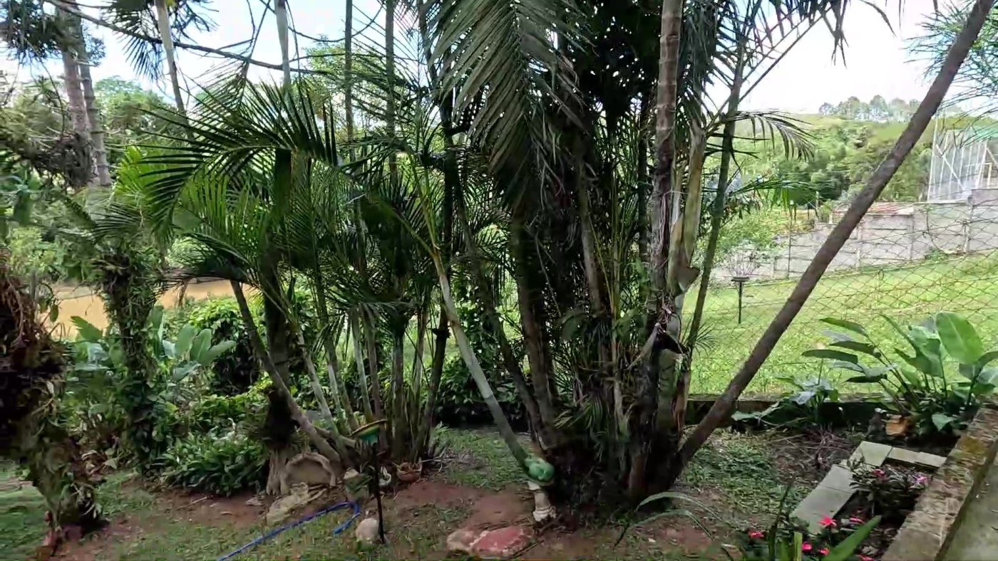 Chácara, 5 quartos, 4000 m² - Foto 35