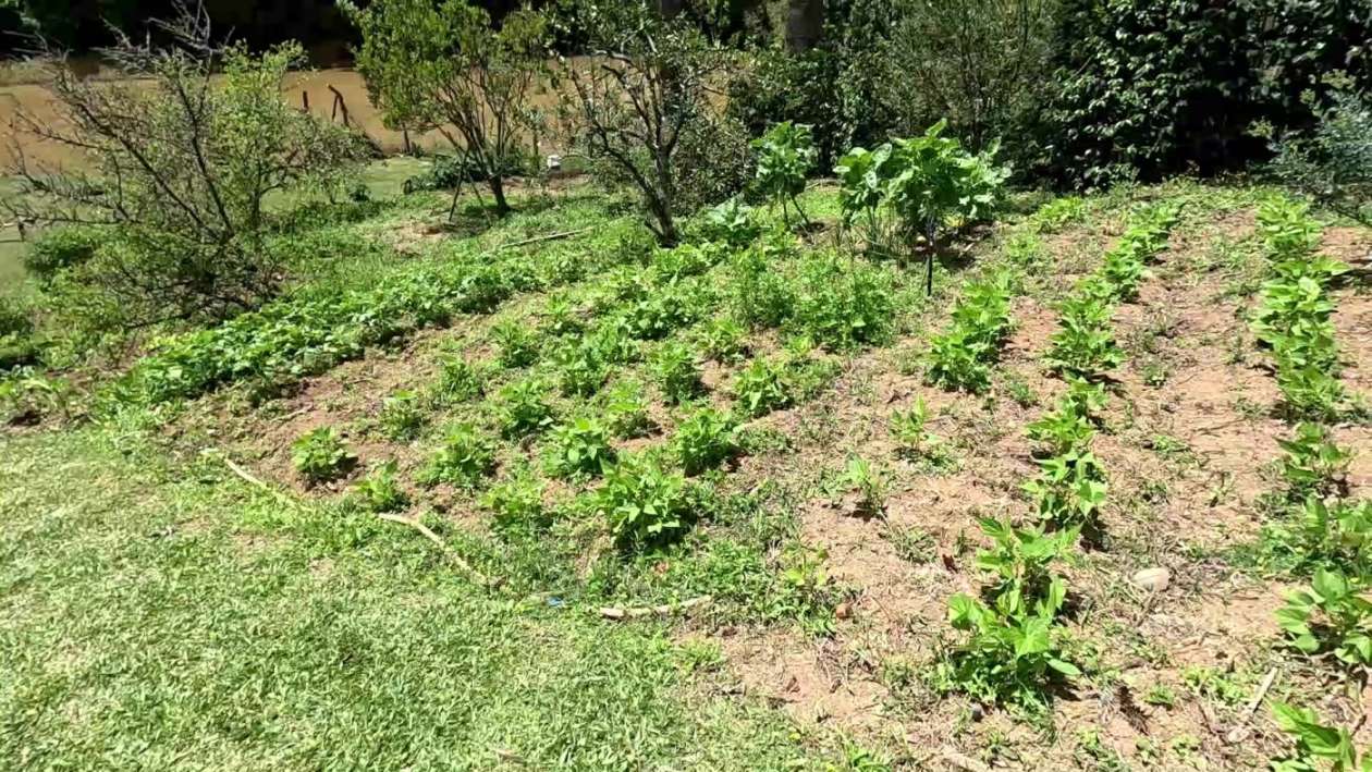 Chácara, 5 quartos, 4000 m² - Foto 37