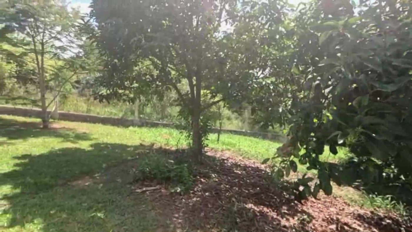 Chácara, 6100 m² - Foto 25