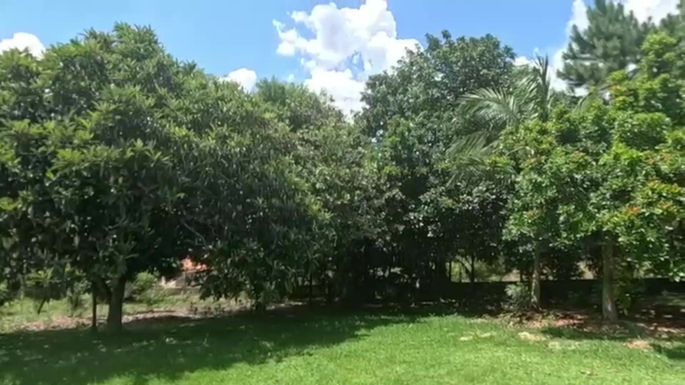 Chácara, 6100 m² - Foto 24