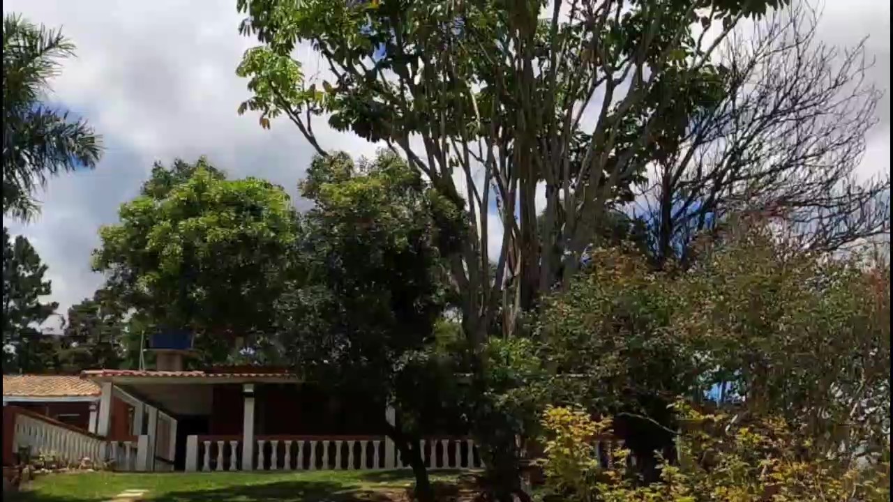 Chácara, 2 quartos, 1000 m² - Foto 6