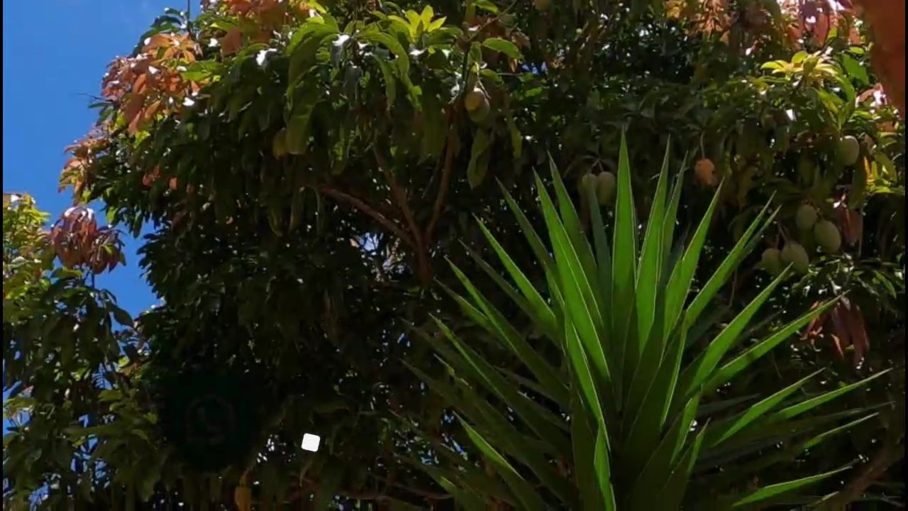 Chácara, 2 quartos, 1000 m² - Foto 29