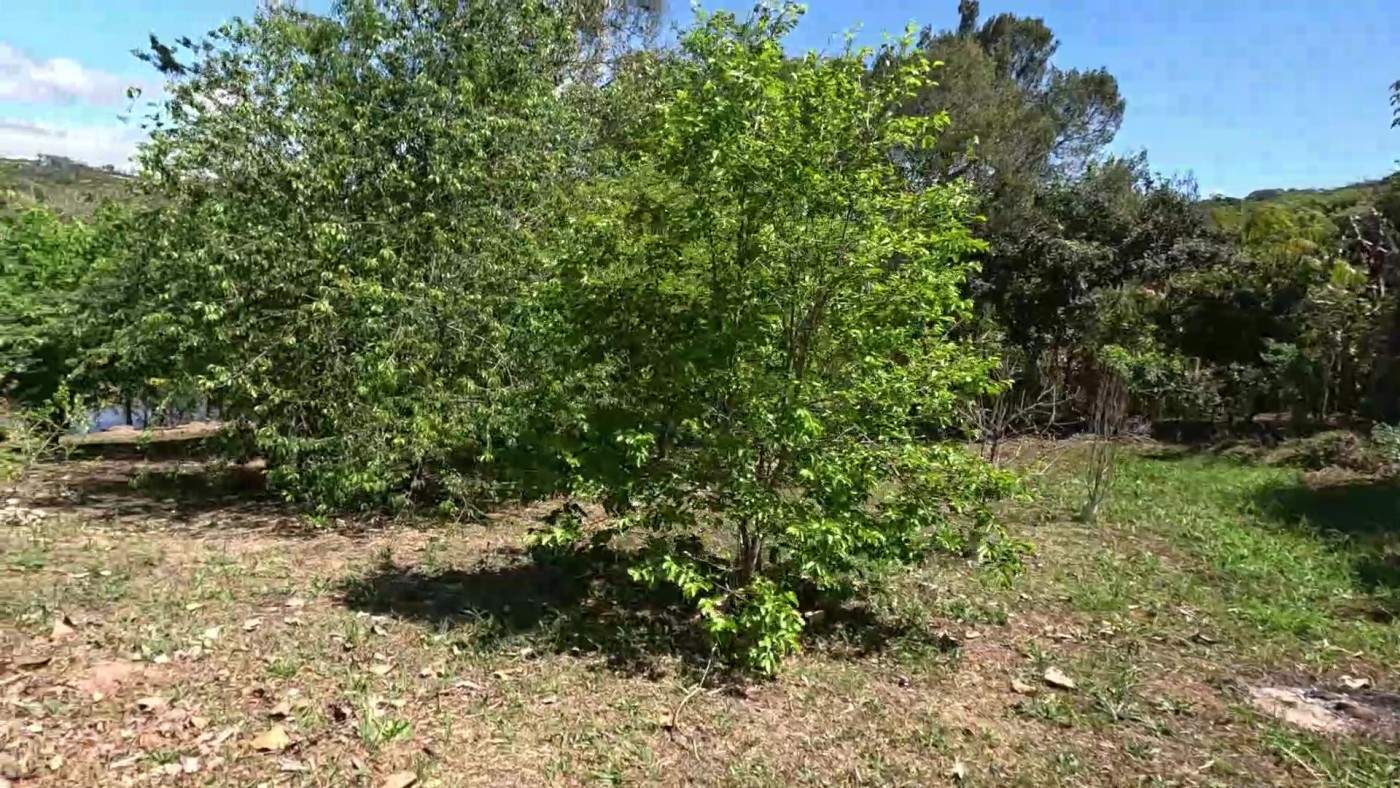 Chácara, 2 quartos, 4300 m² - Foto 31