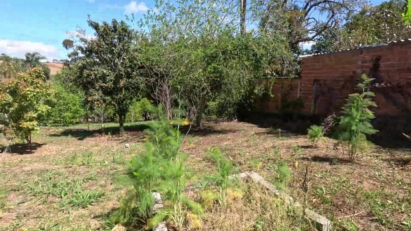 Chácara, 2 quartos, 4300 m² - Foto 30