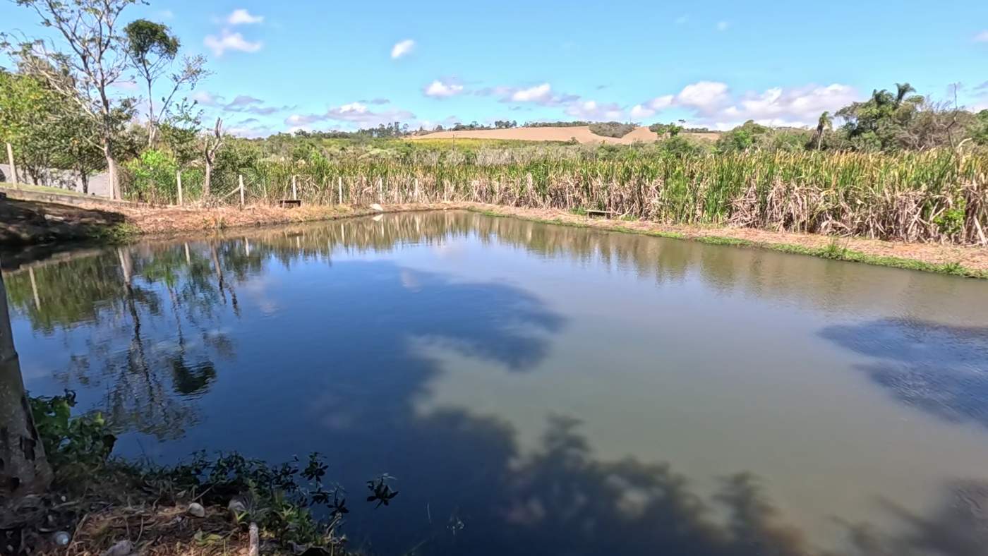 Chácara, 2 quartos, 4300 m² - Foto 42