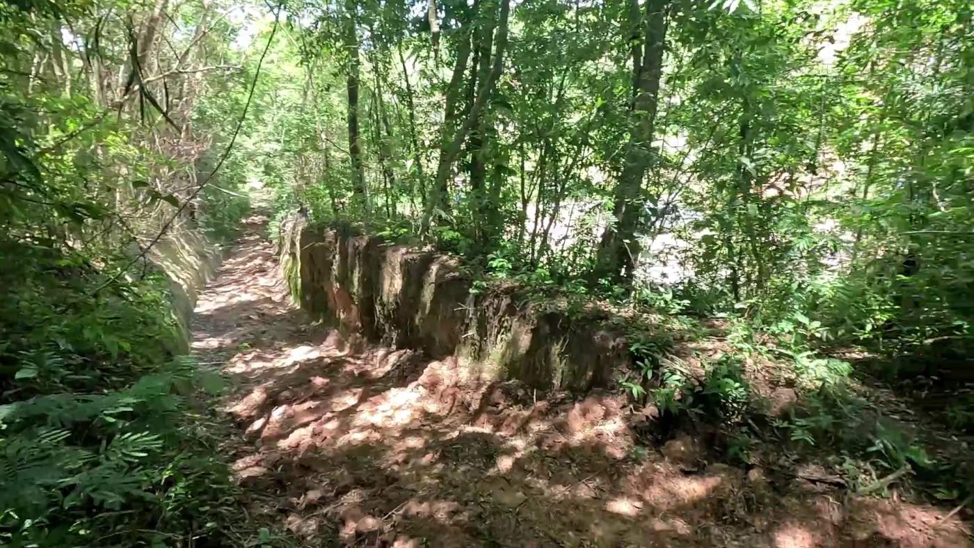 Sítio, 1 hectares - Foto 5