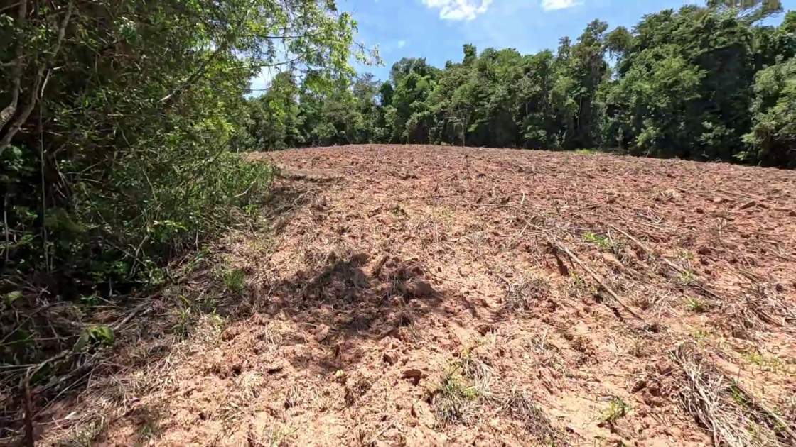 Sítio, 1 hectares - Foto 6