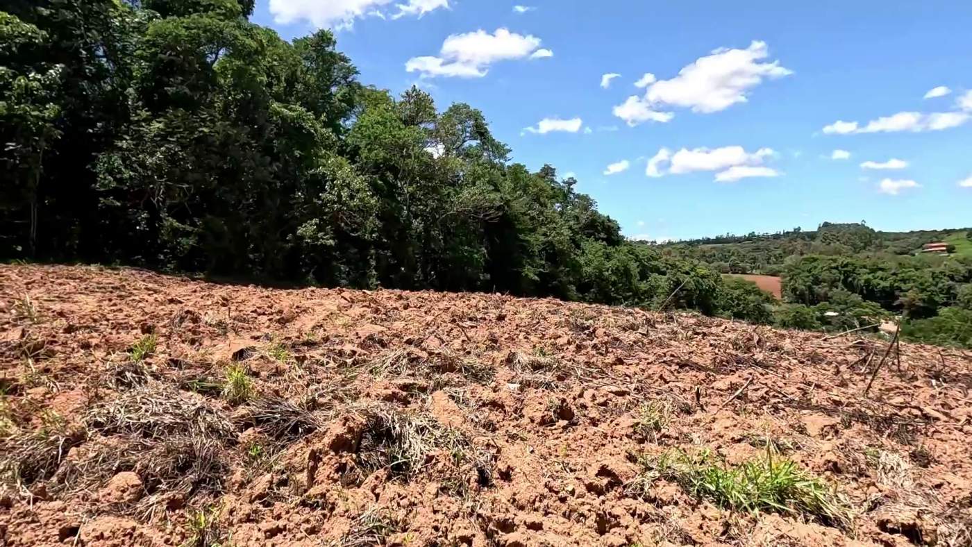 Sítio, 1 hectares - Foto 7