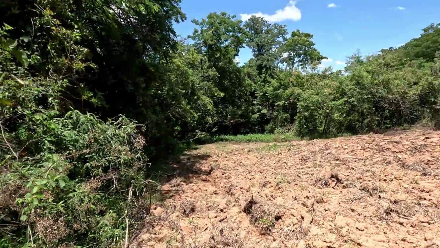 Sítio, 1 hectares - Foto 10