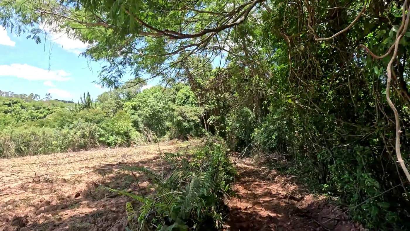 Sítio, 1 hectares - Foto 12