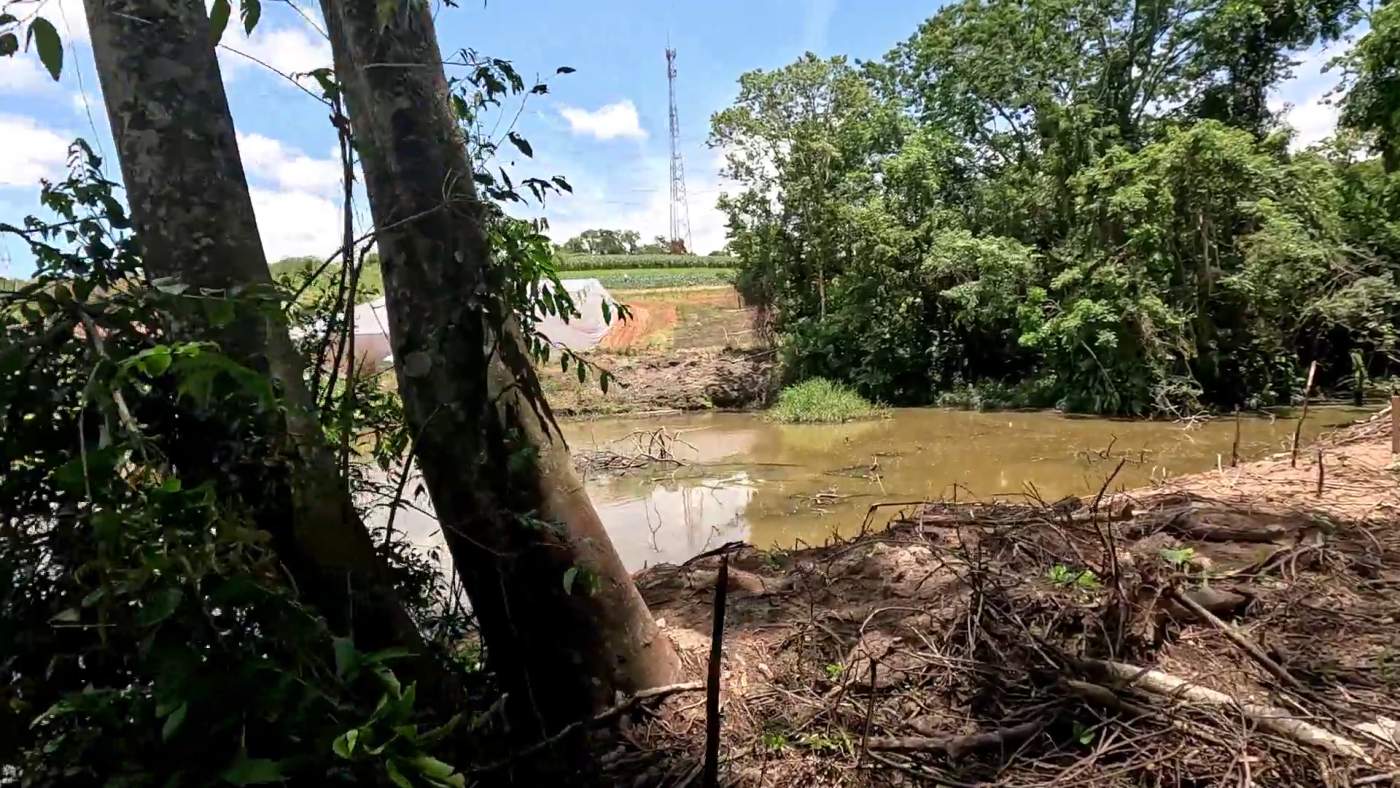 Sítio, 1 hectares - Foto 13