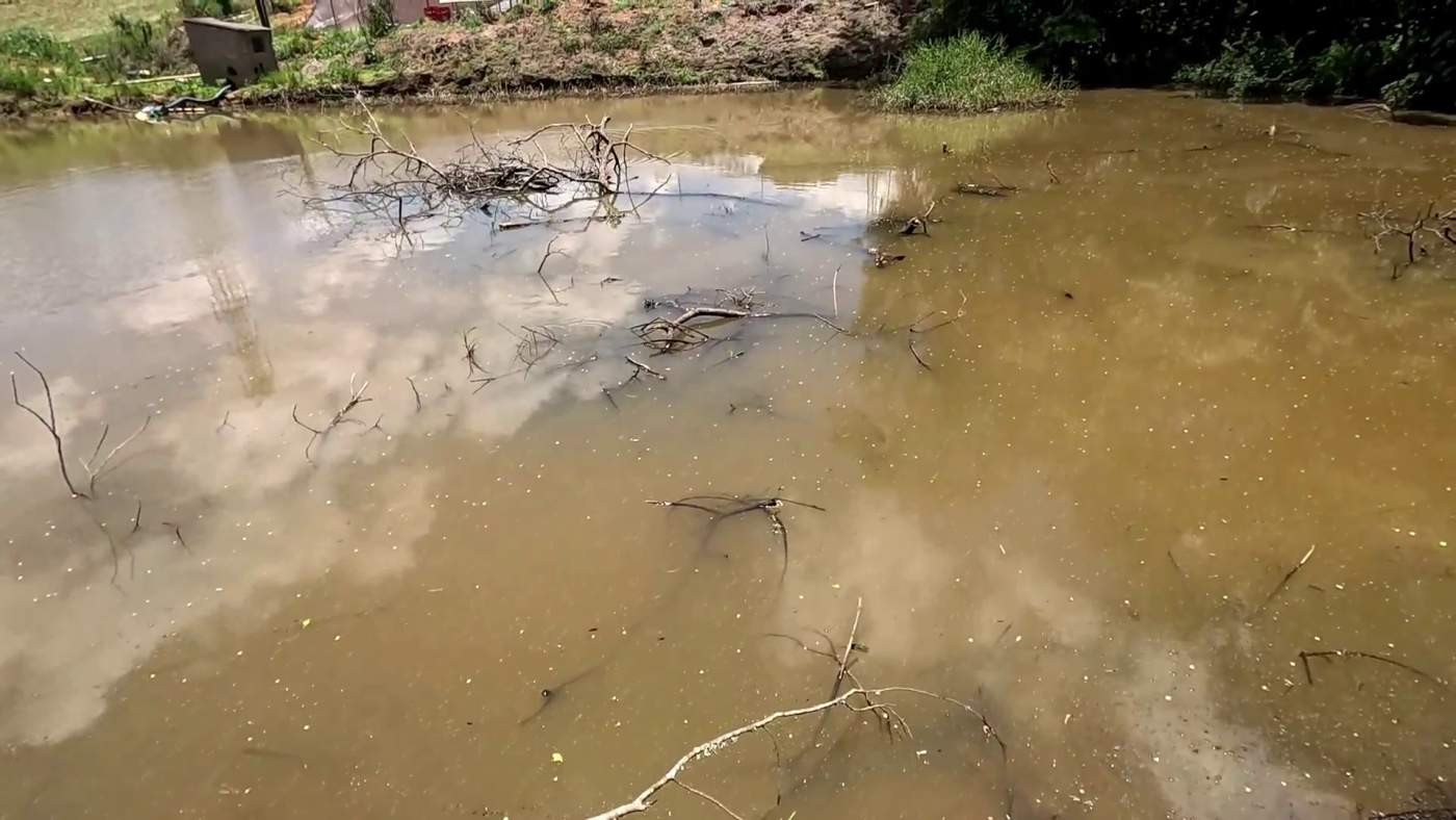 Sítio, 1 hectares - Foto 14