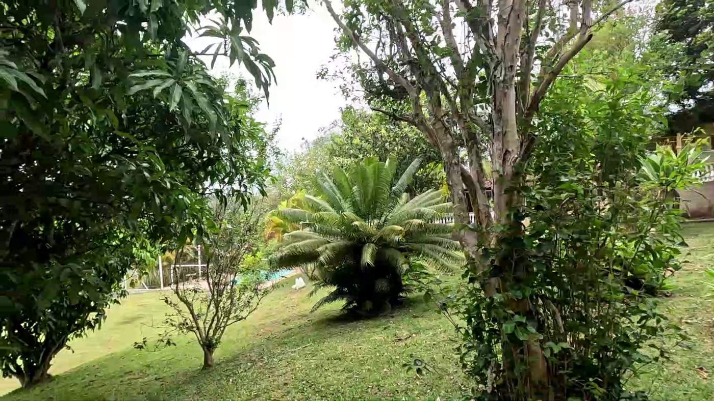 Casa de Condomínio - Foto 27