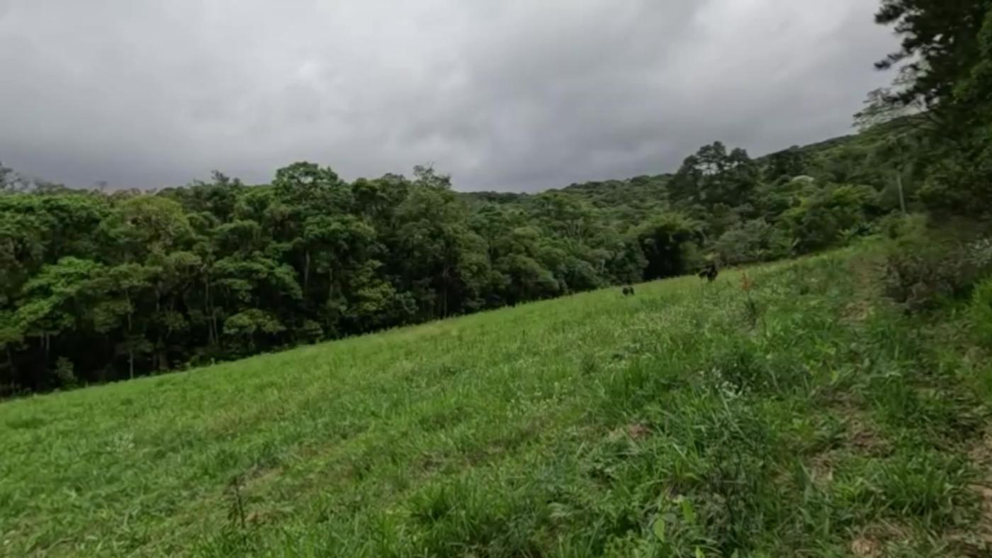 Sítio, 3 quartos, 30 hectares - Foto 38