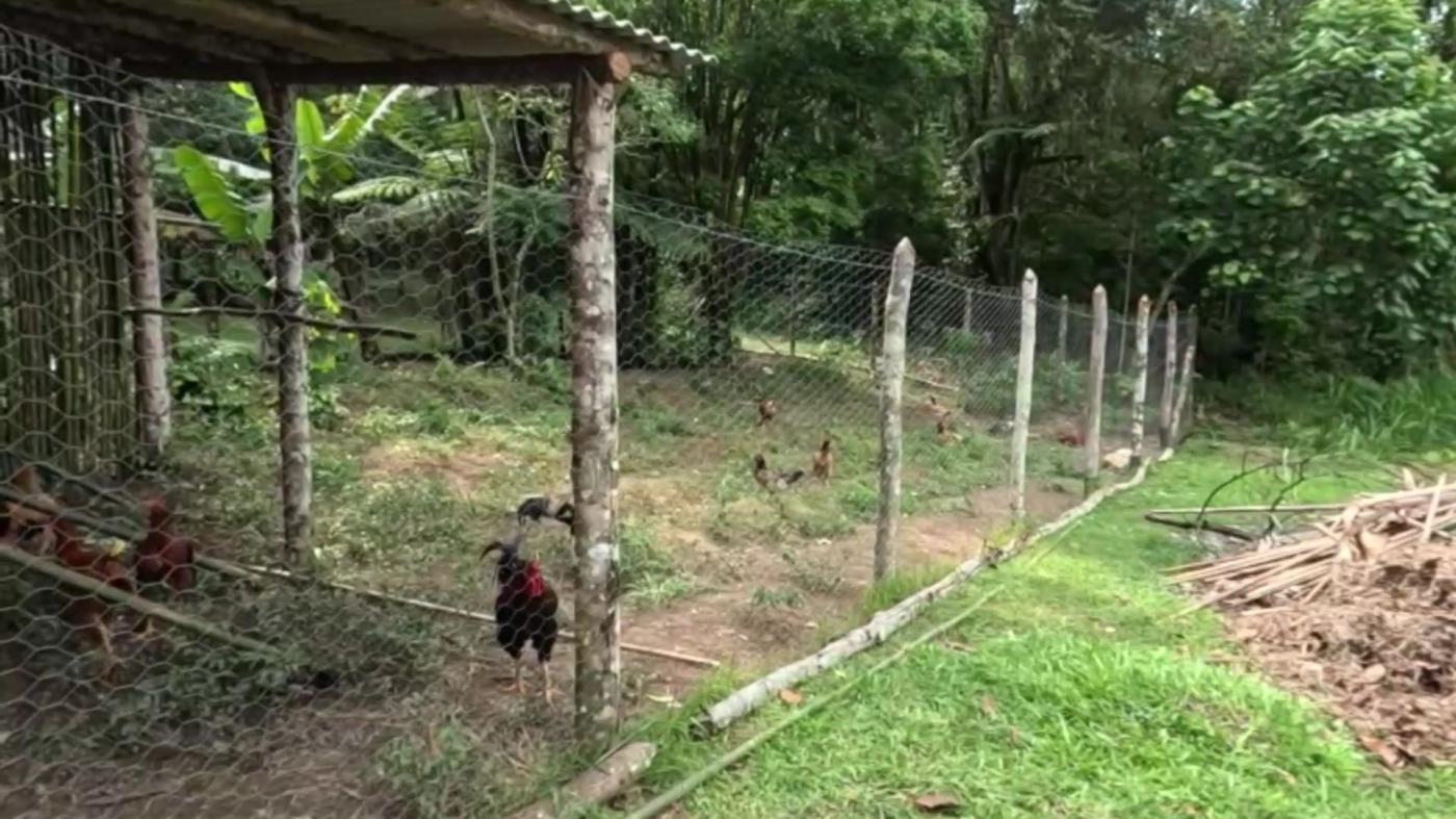 Sítio, 3 quartos, 30 hectares - Foto 39