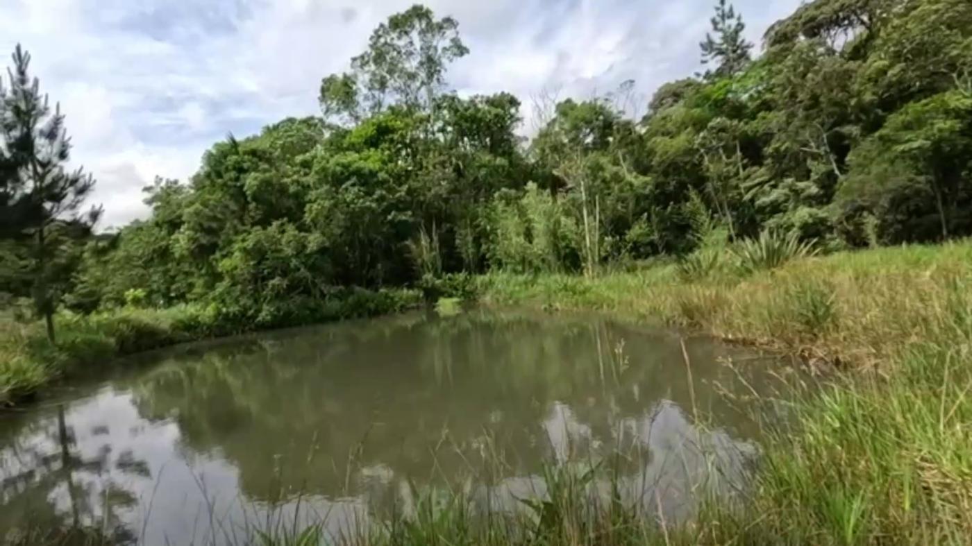 Sítio, 3 quartos, 30 hectares - Foto 35