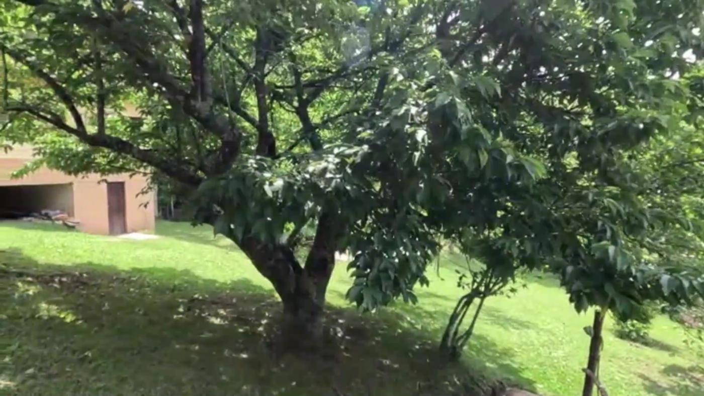 Sítio, 3 quartos, 30 hectares - Foto 26