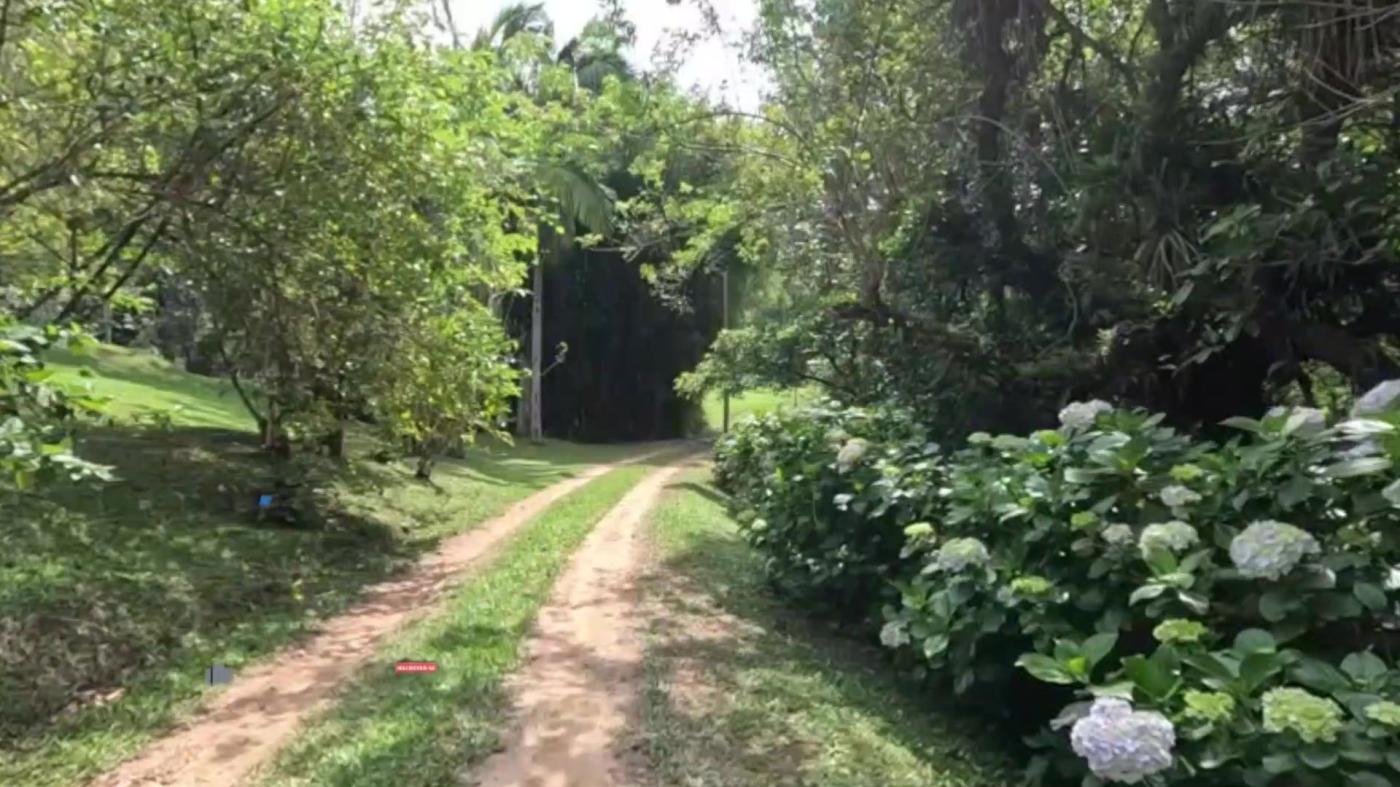 Sítio, 3 quartos, 30 hectares - Foto 7