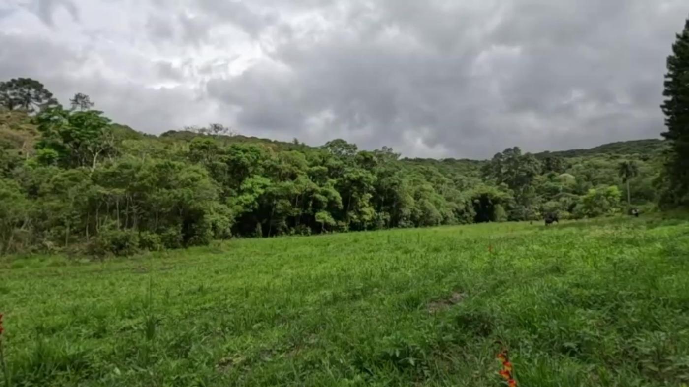 Sítio, 3 quartos, 30 hectares - Foto 34