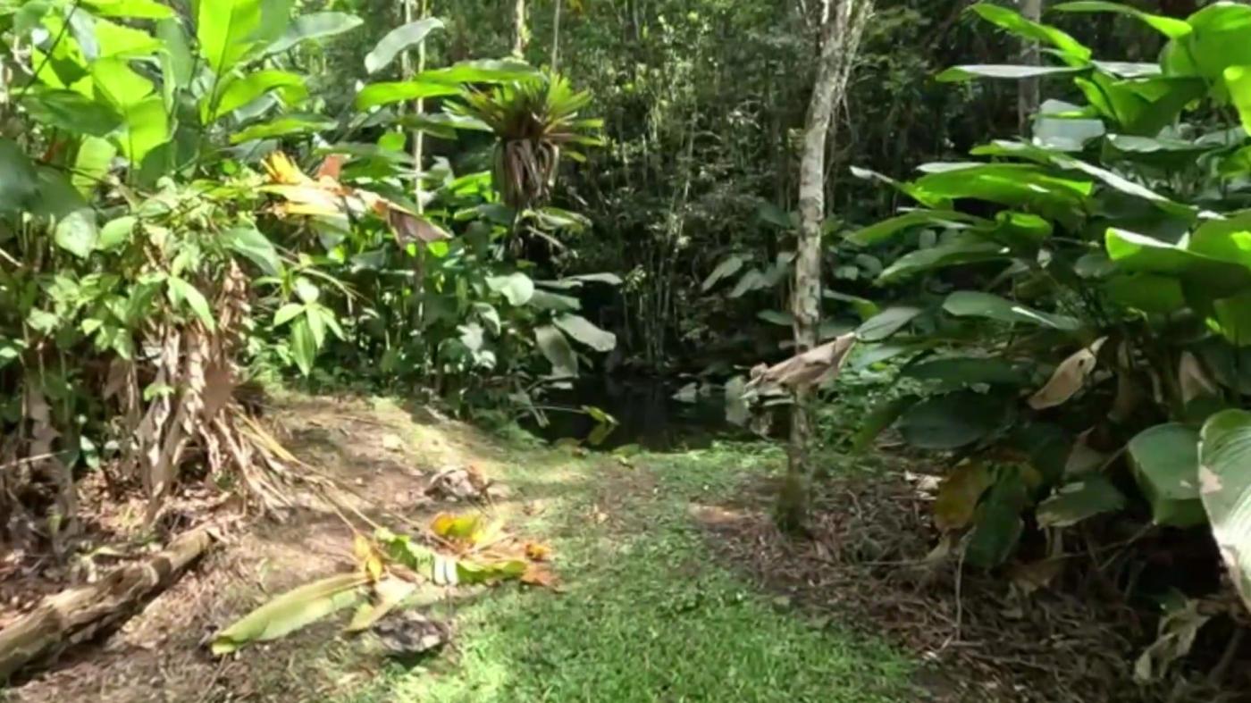 Sítio, 3 quartos, 30 hectares - Foto 23