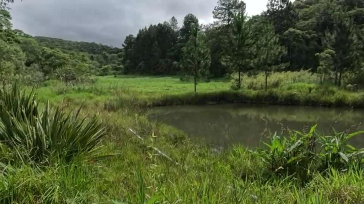 Sítio, 3 quartos, 30 hectares - Foto 37