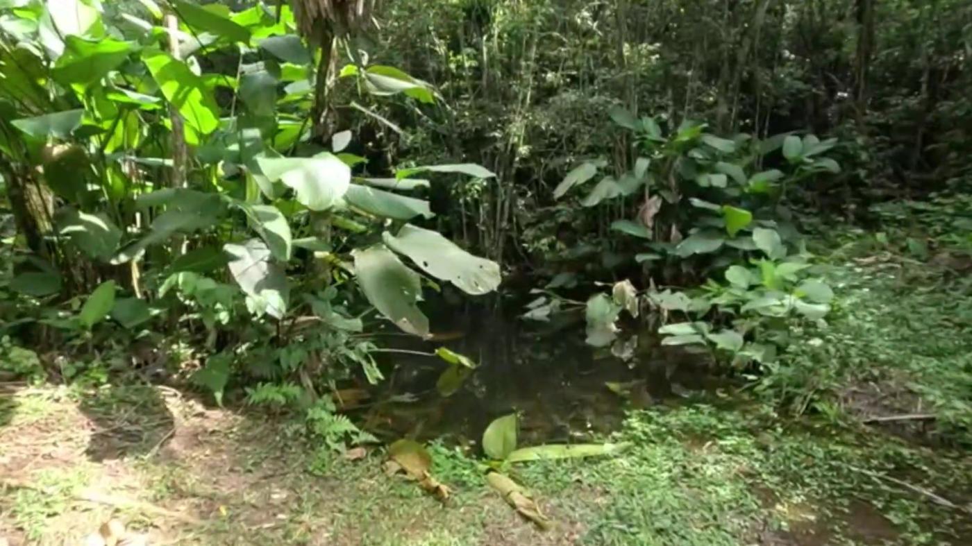 Sítio, 3 quartos, 30 hectares - Foto 2