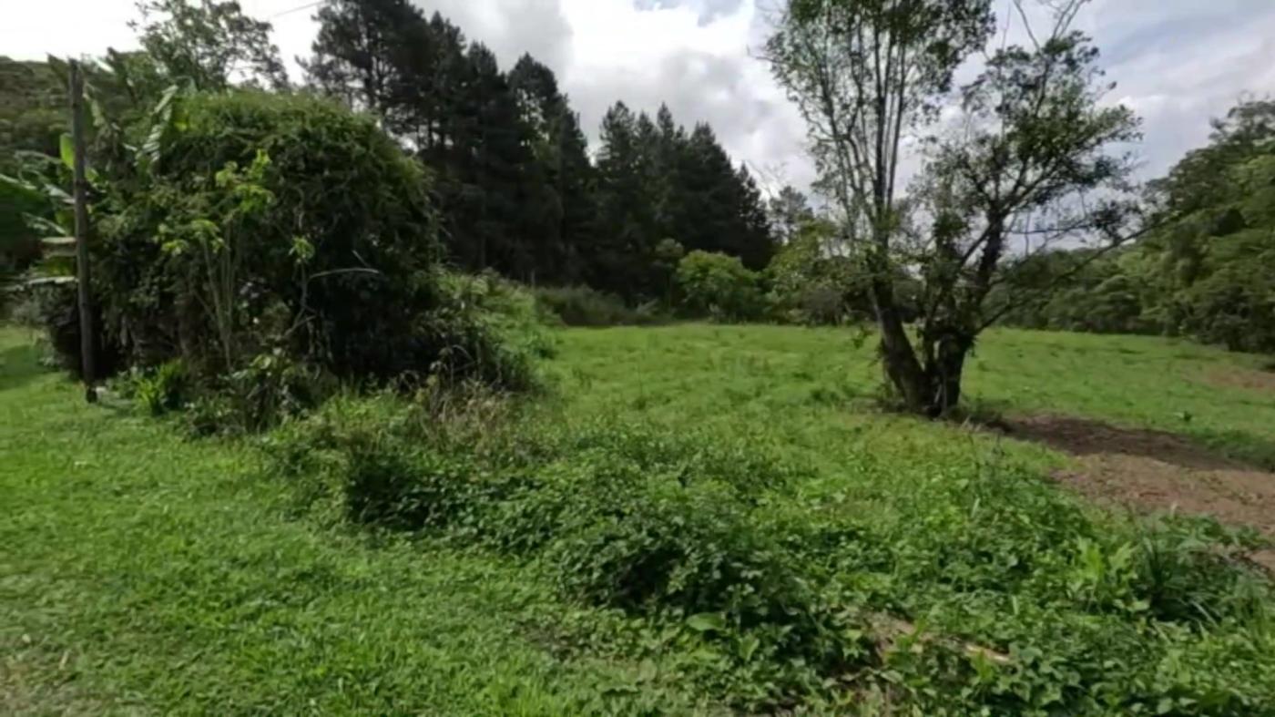 Sítio, 3 quartos, 30 hectares - Foto 32