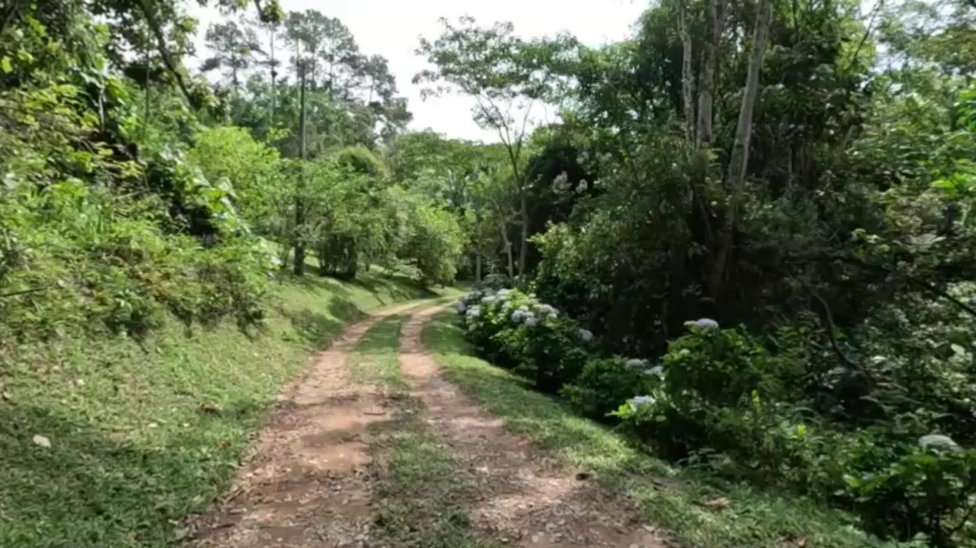 Sítio, 3 quartos, 30 hectares - Foto 6