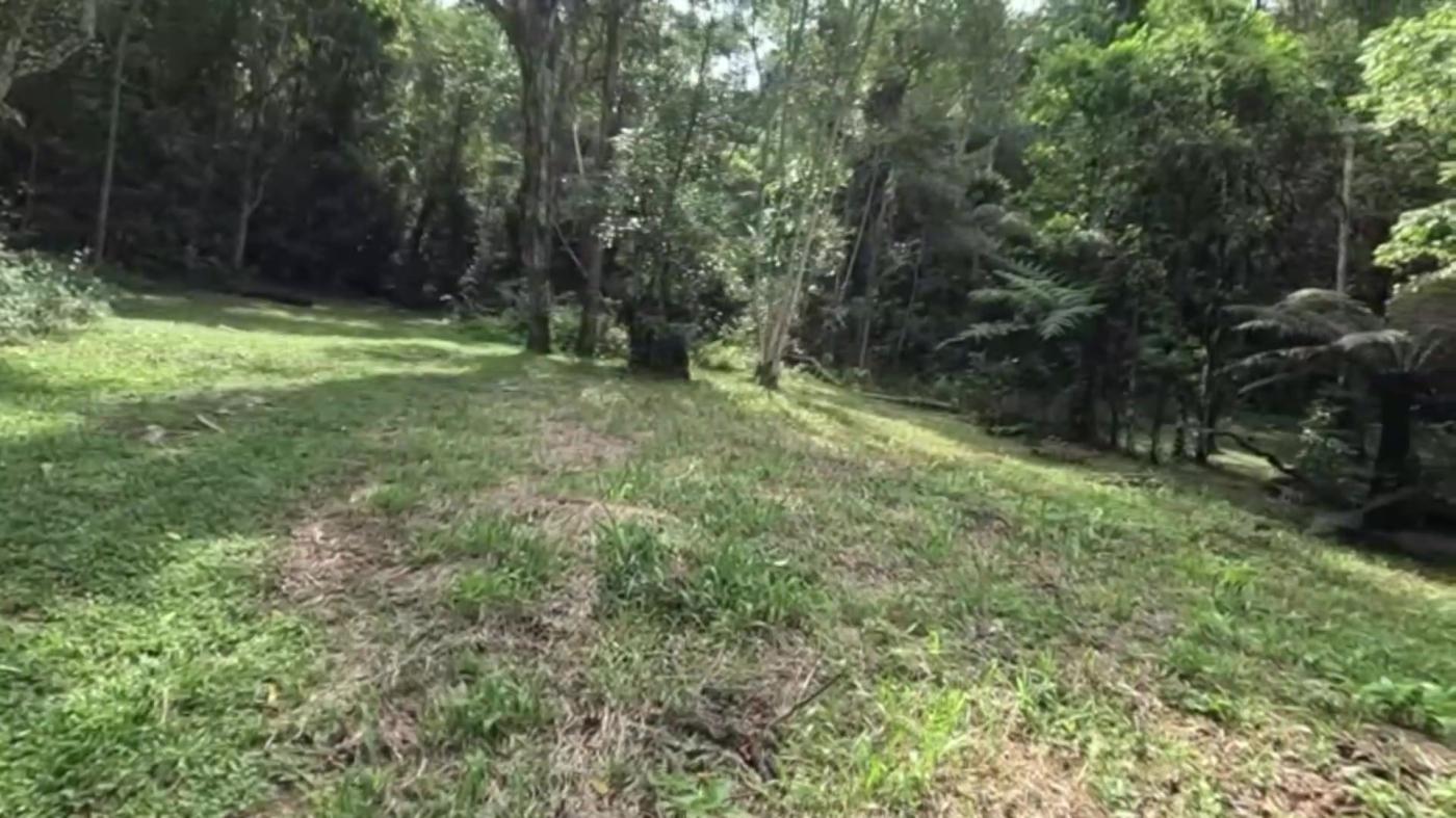 Sítio, 3 quartos, 30 hectares - Foto 40