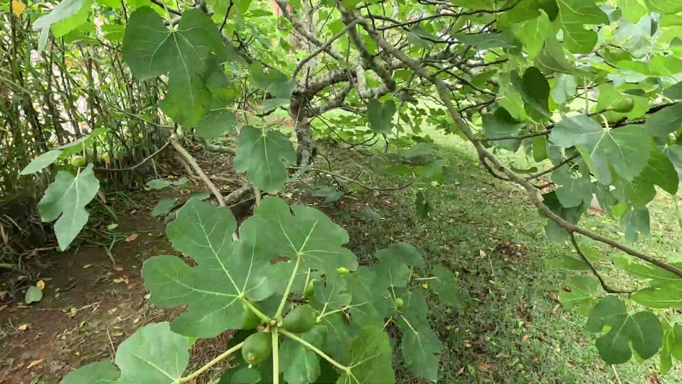 Casa de Condomínio, 3 quartos - Foto 38