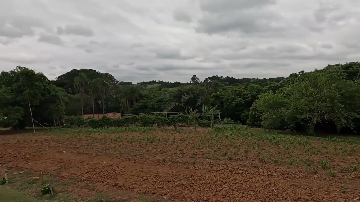 Sítio, 3 quartos, 2 hectares - Foto 3