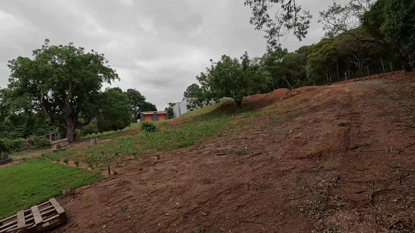 Sítio, 3 quartos, 2 hectares - Foto 27