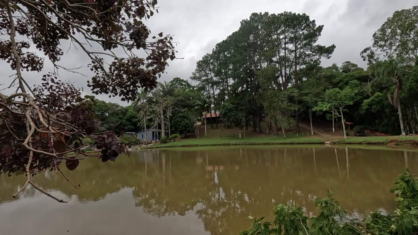 Sítio, 3 quartos, 2 hectares - Foto 34