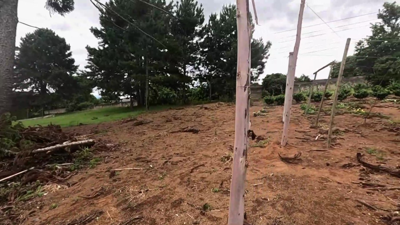 Sítio, 5 quartos, 2 hectares - Foto 21