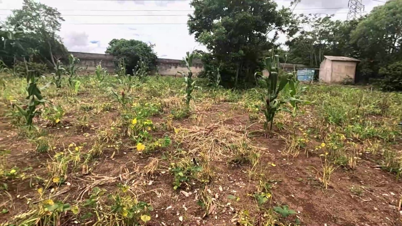 Sítio, 5 quartos, 2 hectares - Foto 23