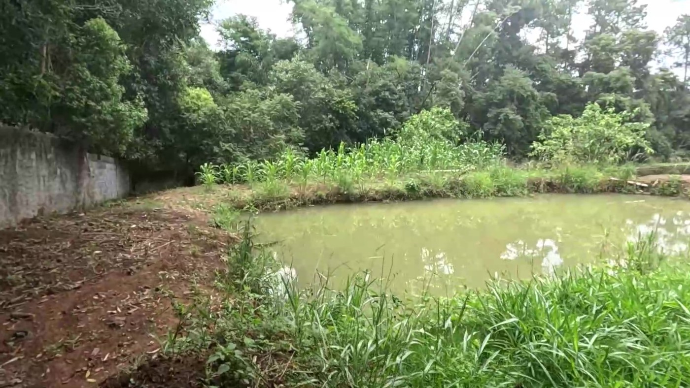 Sítio, 5 quartos, 2 hectares - Foto 26