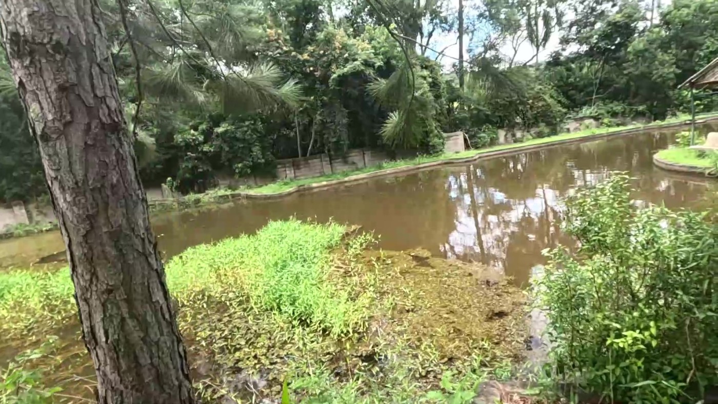 Sítio, 5 quartos, 2 hectares - Foto 27