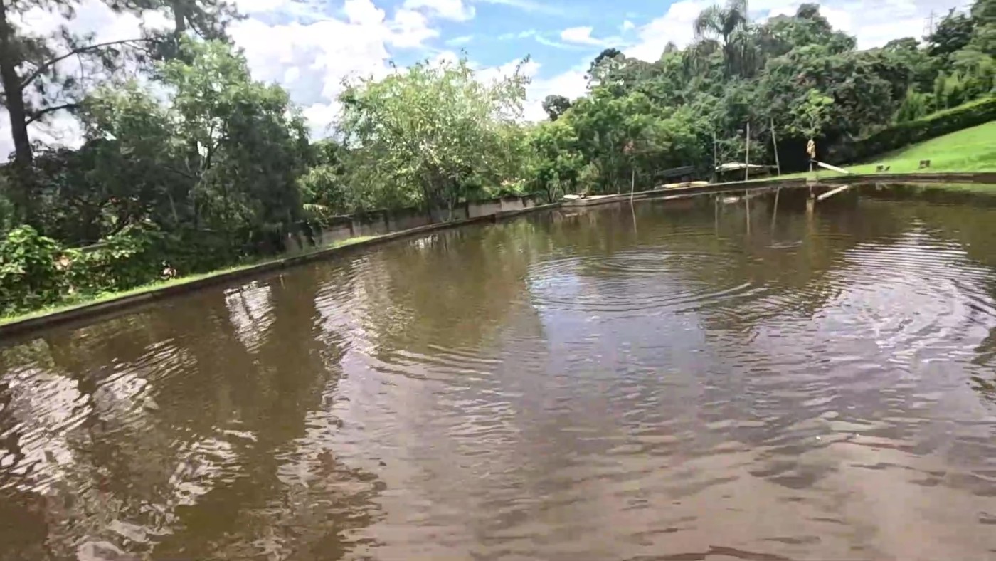 Sítio, 5 quartos, 2 hectares - Foto 28