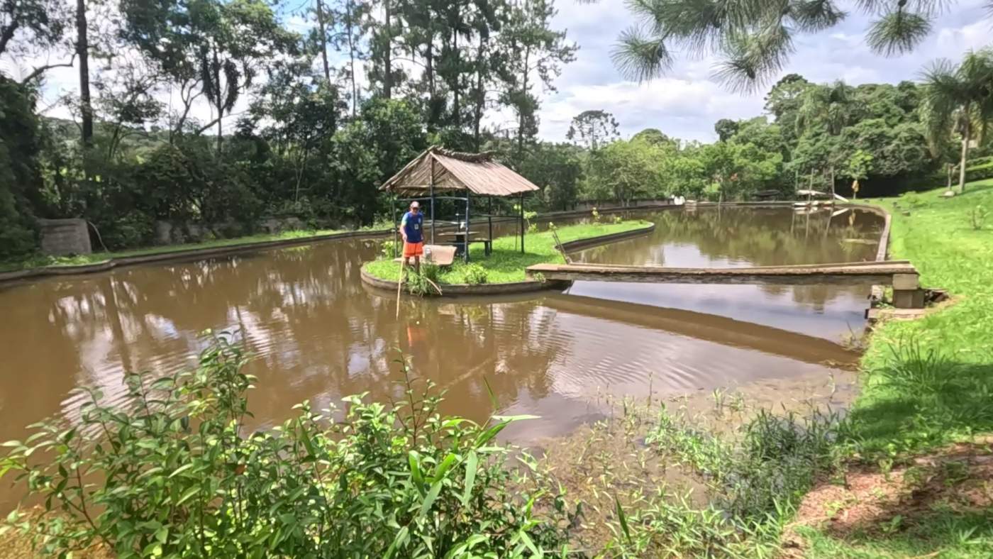 Sítio, 5 quartos, 2 hectares - Foto 40