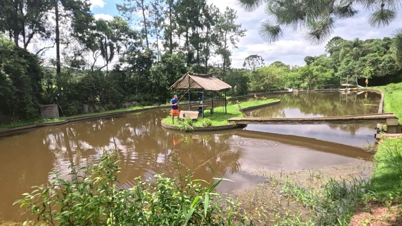 Sítio, 5 quartos, 2 hectares - Foto 41