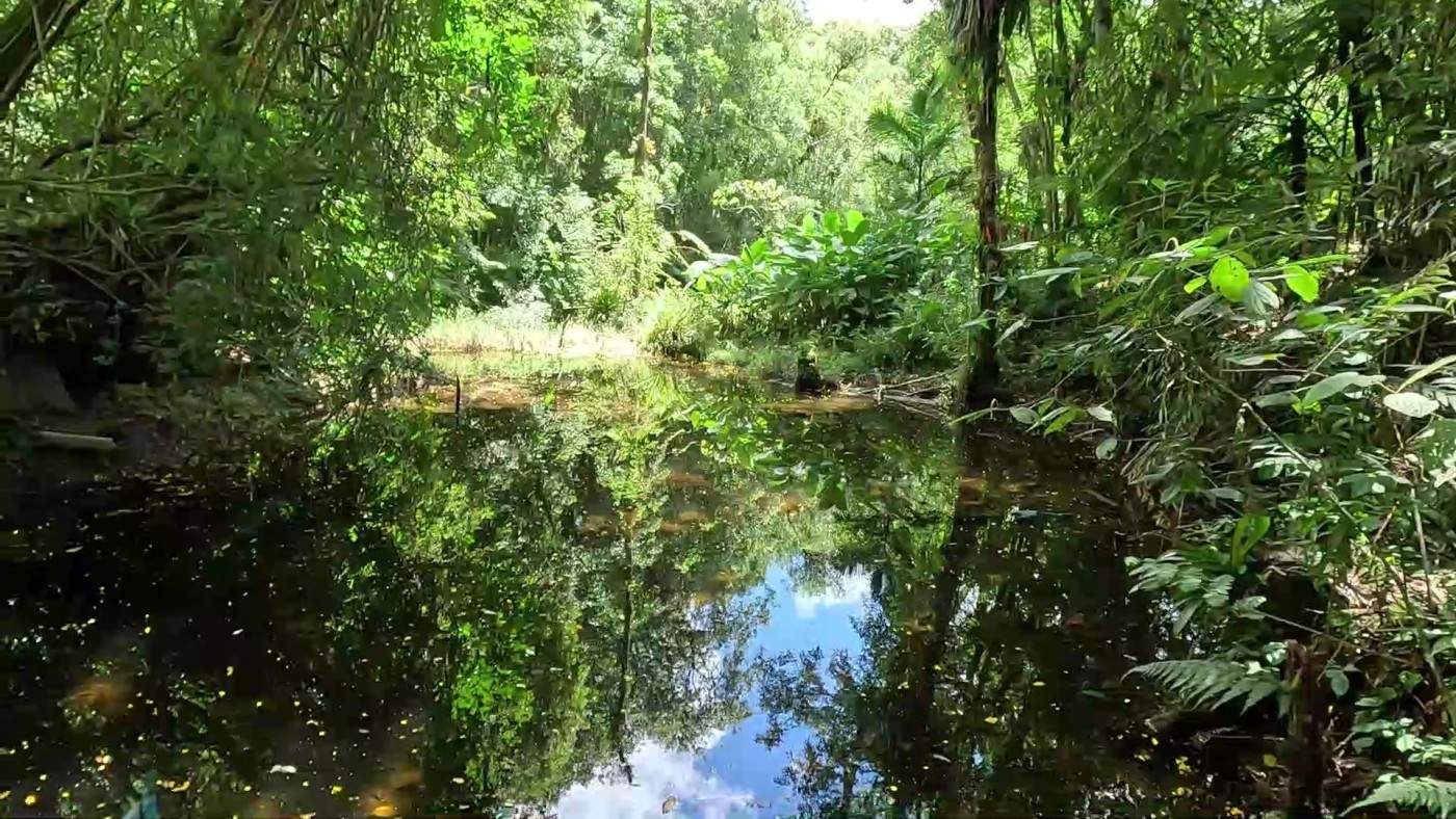 Fazenda, 3 hectares - Foto 4