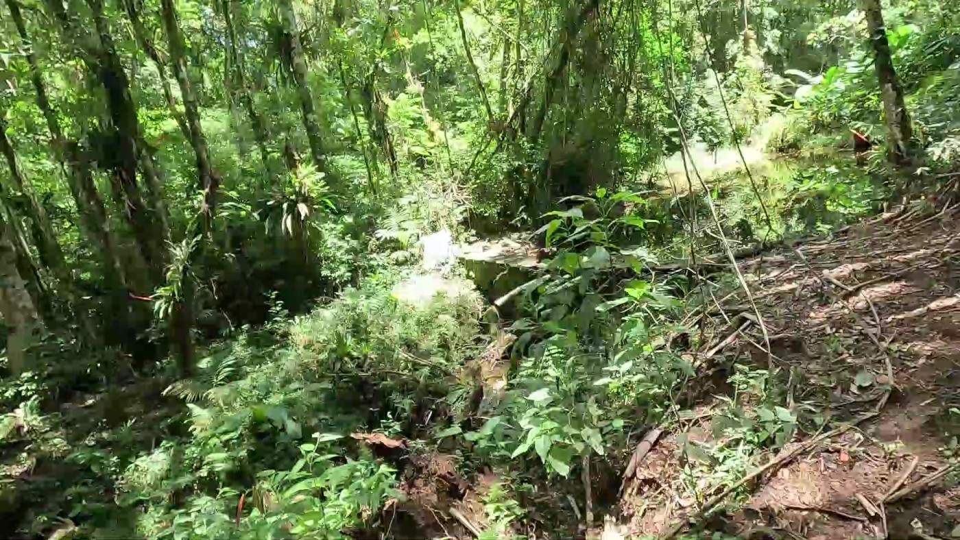 Fazenda, 3 hectares - Foto 3