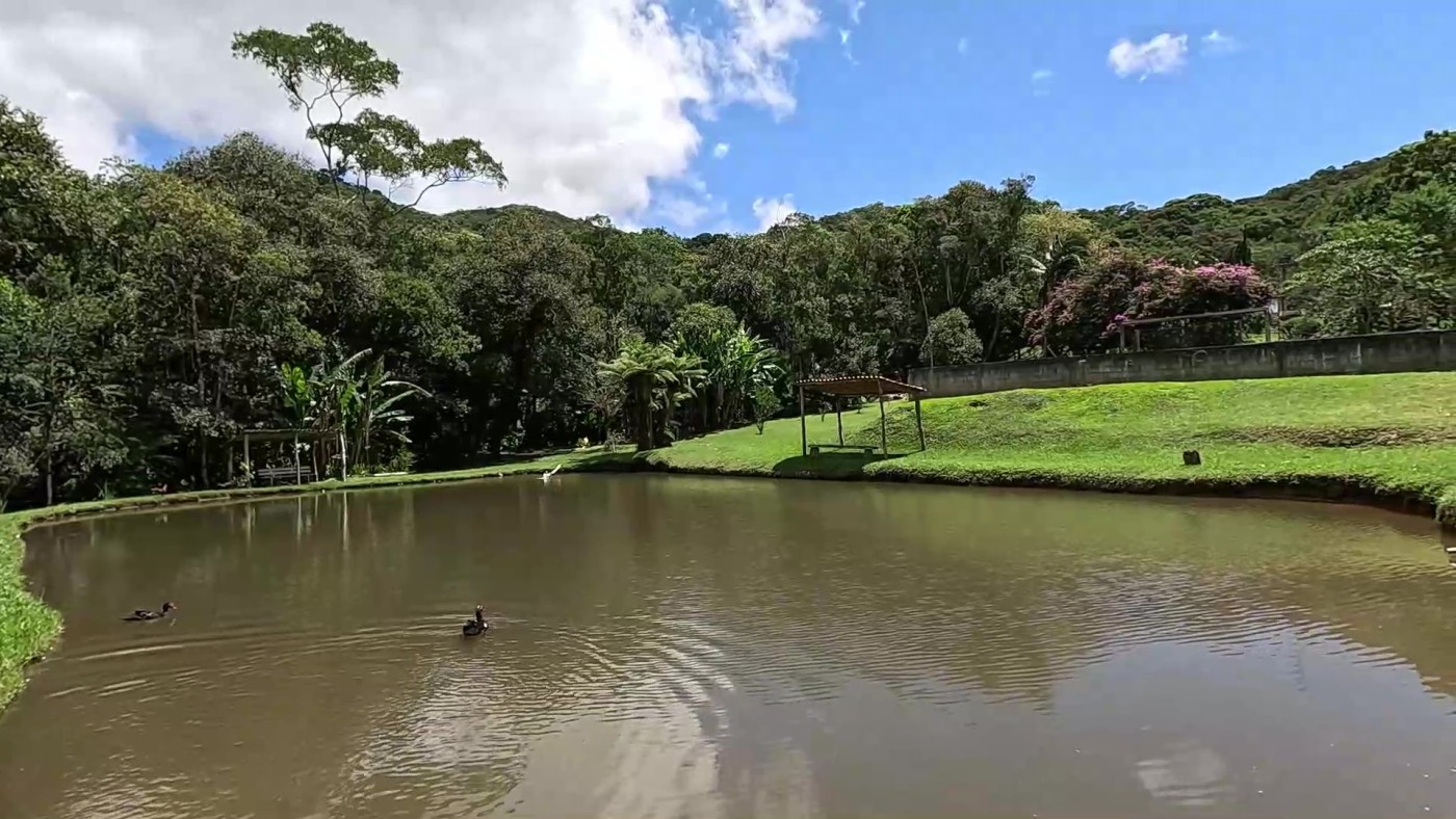 Fazenda, 3 hectares - Foto 6