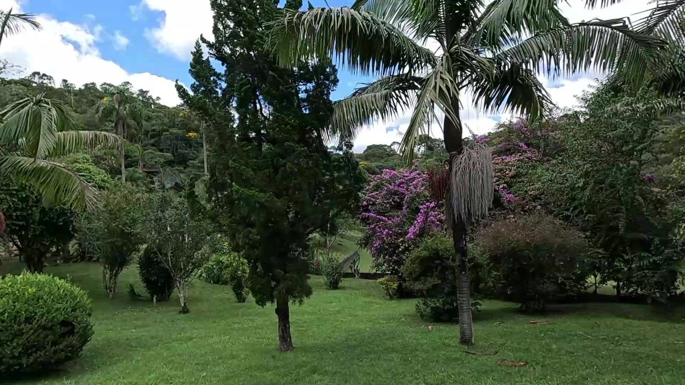 Fazenda, 3 hectares - Foto 13