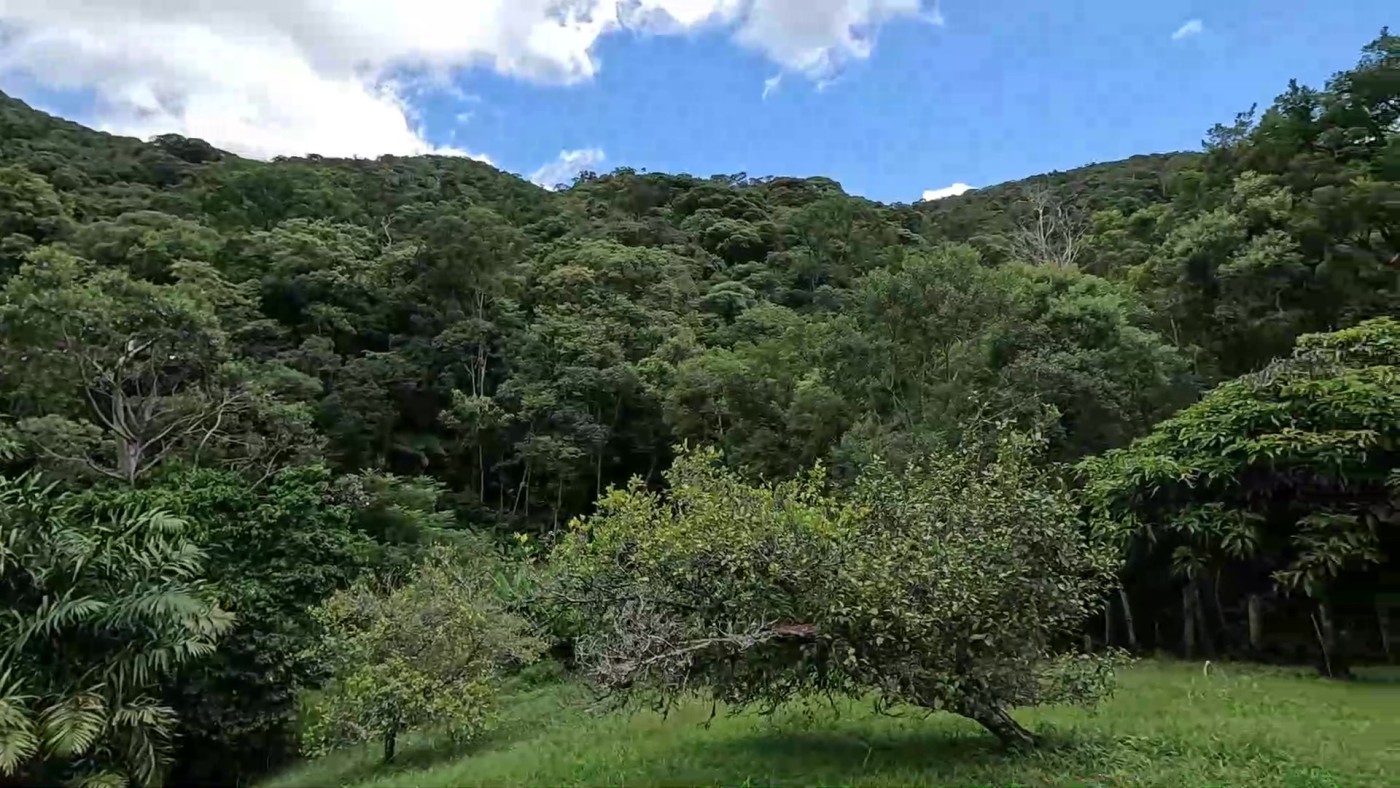 Fazenda, 3 hectares - Foto 24